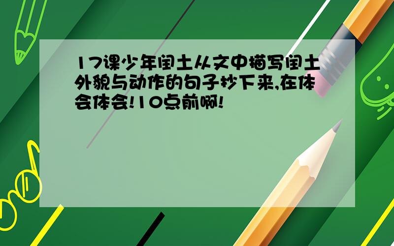 17课少年闰土从文中描写闰土外貌与动作的句子抄下来,在体会体会!10点前啊!