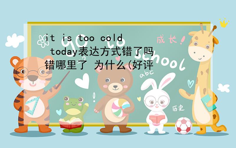 it is too cold today表达方式错了吗 错哪里了 为什么(好评