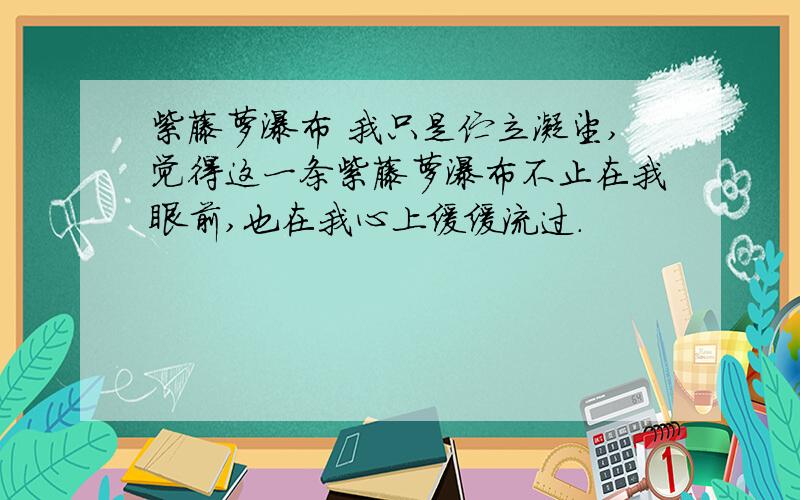 紫藤萝瀑布 我只是伫立凝望,觉得这一条紫藤萝瀑布不止在我眼前,也在我心上缓缓流过.