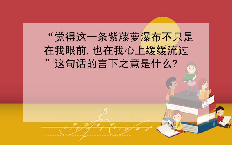 “觉得这一条紫藤萝瀑布不只是在我眼前,也在我心上缓缓流过”这句话的言下之意是什么?