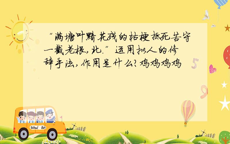 “满塘叶黯花残的枯梗抵死苦守一截老根,北.”运用拟人的修辞手法,作用是什么?鸡鸡鸡鸡