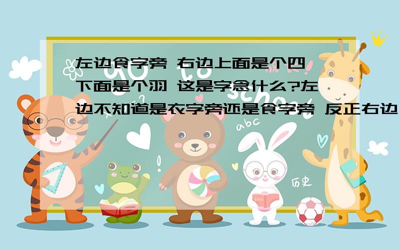 左边食字旁 右边上面是个四 下面是个羽 这是字念什么?左边不知道是衣字旁还是食字旁 反正右边上面是个四 下面一个羽字