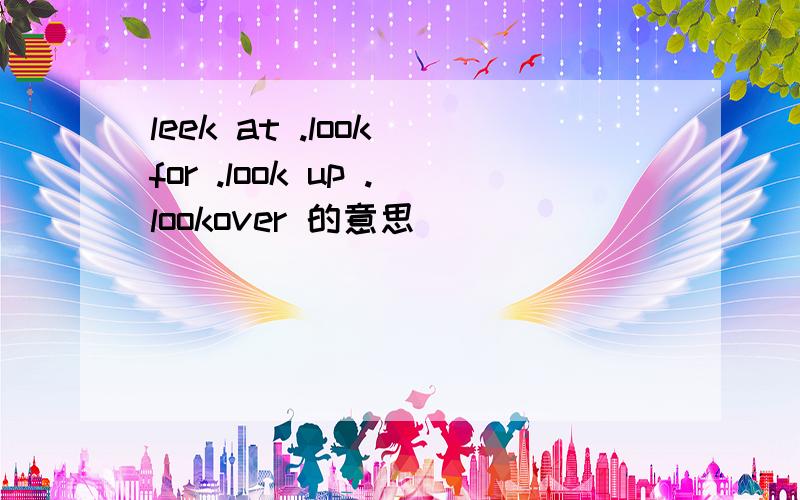 leek at .look for .look up .lookover 的意思