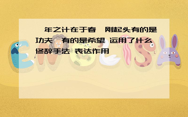 一年之计在于春,刚起头有的是功夫,有的是希望 运用了什么修辞手法 表达作用