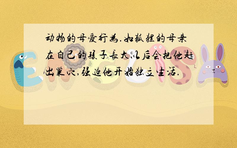 动物的母爱行为.如狐狸的母亲在自己的孩子长大以后会把他赶出巢穴,强迫他开始独立生活.