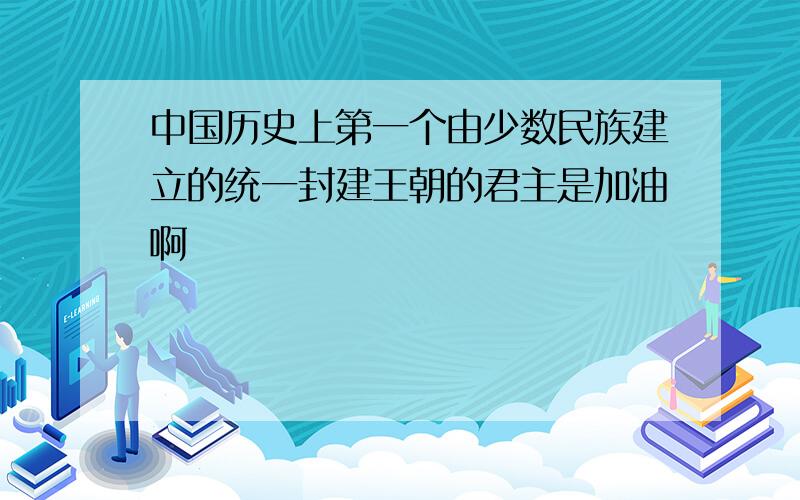 中国历史上第一个由少数民族建立的统一封建王朝的君主是加油啊