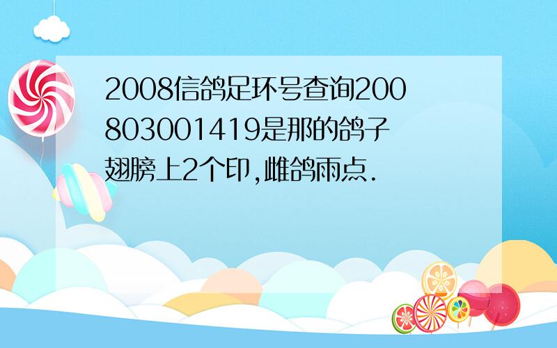 2008信鸽足环号查询200803001419是那的鸽子翅膀上2个印,雌鸽雨点.