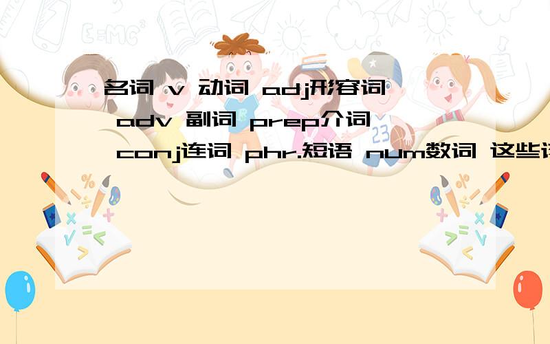 名词 v 动词 adj形容词 adv 副词 prep介词 conj连词 phr.短语 num数词 这些该怎么用?