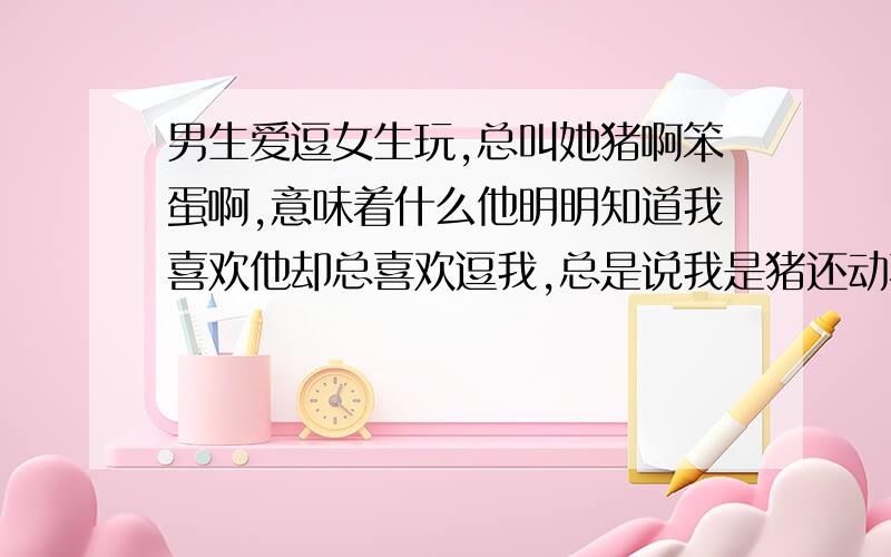 男生爱逗女生玩,总叫她猪啊笨蛋啊,意味着什么他明明知道我喜欢他却总喜欢逗我,总是说我是猪还动不动就说我是个笨蛋,是不是他不喜欢我,才这样的?