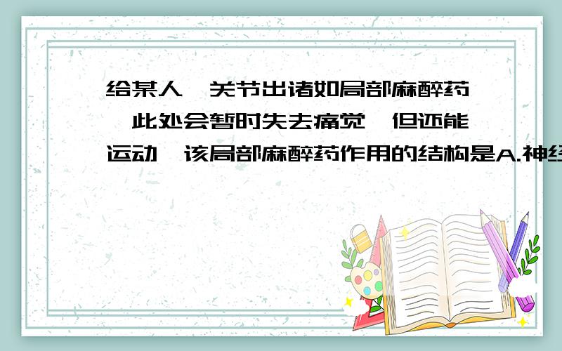 给某人踝关节出诸如局部麻醉药,此处会暂时失去痛觉,但还能运动,该局部麻醉药作用的结构是A.神经中枢B.突触C.感受器和传入神经D.传出神经和感受器