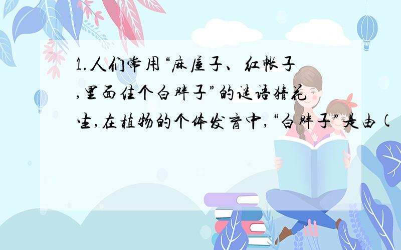 1.人们常用“麻屋子、红帐子,里面住个白胖子”的谜语猜花生,在植物的个体发育中,“白胖子”是由( )发育而来.A．珠被 B．受精卵 C．受精极核 D．子房壁2．一朵花中,与繁殖后代直接相关的