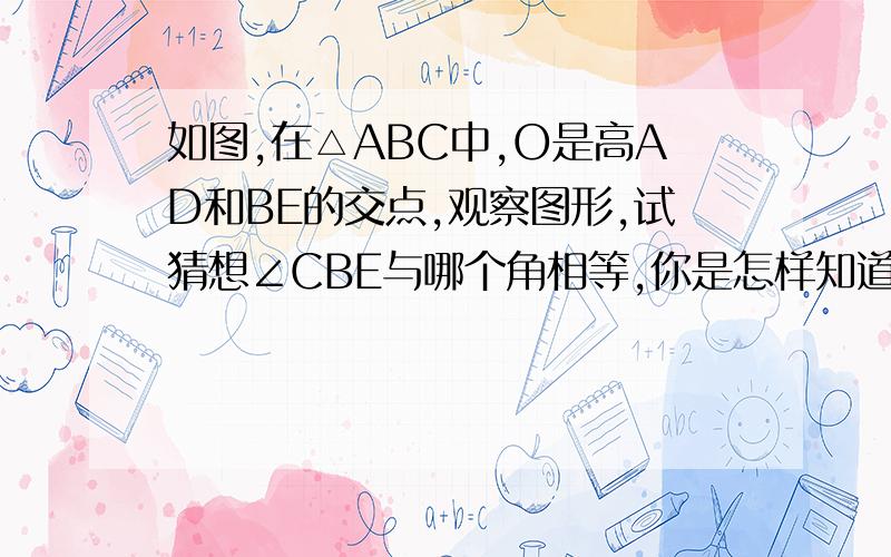 如图,在△ABC中,O是高AD和BE的交点,观察图形,试猜想∠CBE与哪个角相等,你是怎样知道的?∠C与∠DOE之间有怎样的数量关系,并证明你猜想的结论.