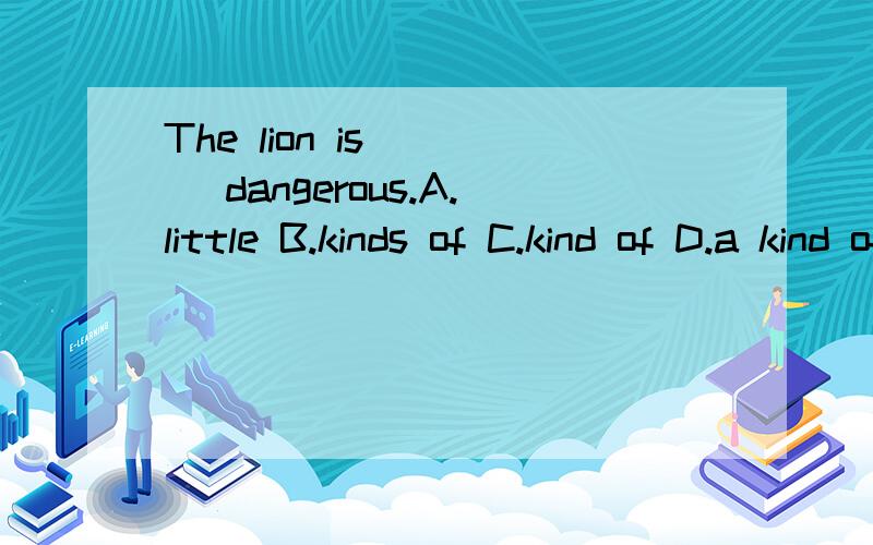 The lion is ___ dangerous.A.little B.kinds of C.kind of D.a kind of