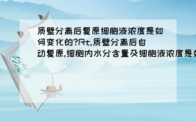 质壁分离后复原细胞液浓度是如何变化的?Rt,质壁分离后自动复原,细胞内水分含量及细胞液浓度是如何变化的,