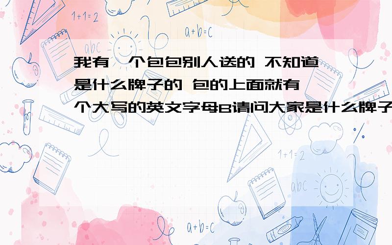 我有一个包包别人送的 不知道是什么牌子的 包的上面就有一个大写的英文字母B请问大家是什么牌子的?