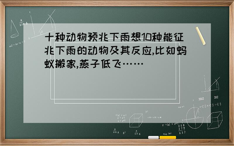 十种动物预兆下雨想10种能征兆下雨的动物及其反应,比如蚂蚁搬家,燕子低飞……