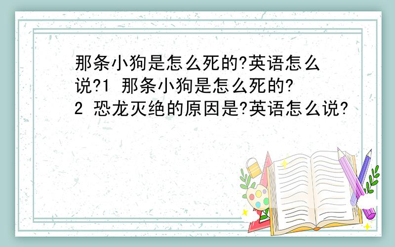 那条小狗是怎么死的?英语怎么说?1 那条小狗是怎么死的?2 恐龙灭绝的原因是?英语怎么说?