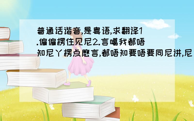 普通话谐音,是粤语,求翻译1.偏偏楞住见尼2.言噶我都唔知尼丫楞点麽言,都唔知要唔要同尼讲,尼侯唔侯以呗一个只示我啊,我真噶郭得好生伏谁会粤语,求翻译,是谐音翻译.