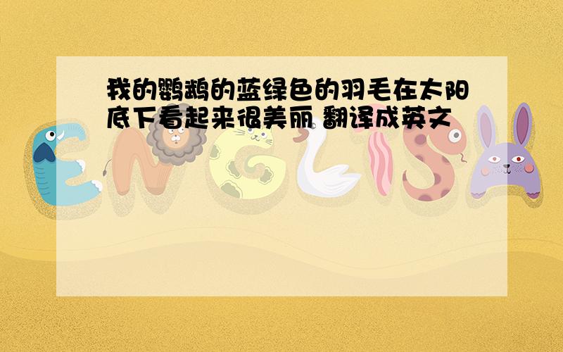 我的鹦鹉的蓝绿色的羽毛在太阳底下看起来很美丽 翻译成英文