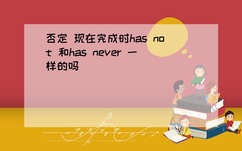 否定 现在完成时has not 和has never 一样的吗