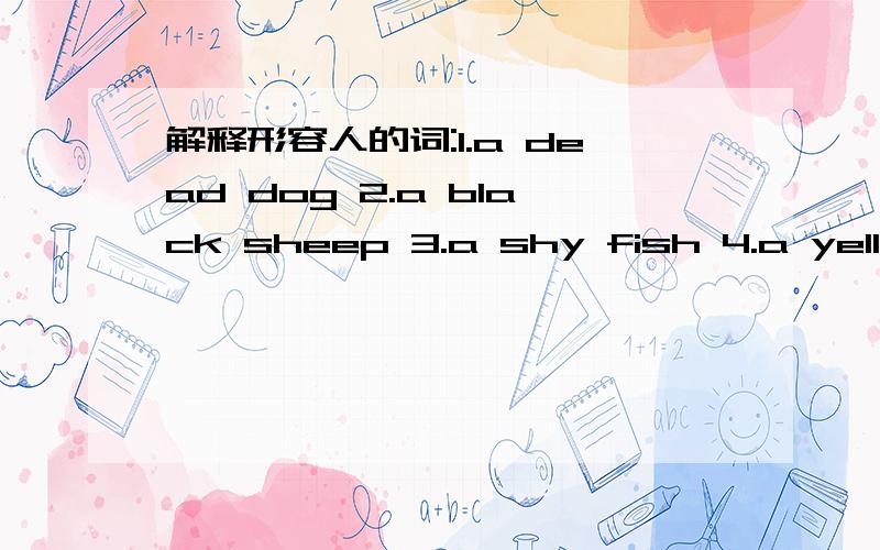 解释形容人的词:1.a dead dog 2.a black sheep 3.a shy fish 4.a yellow dog