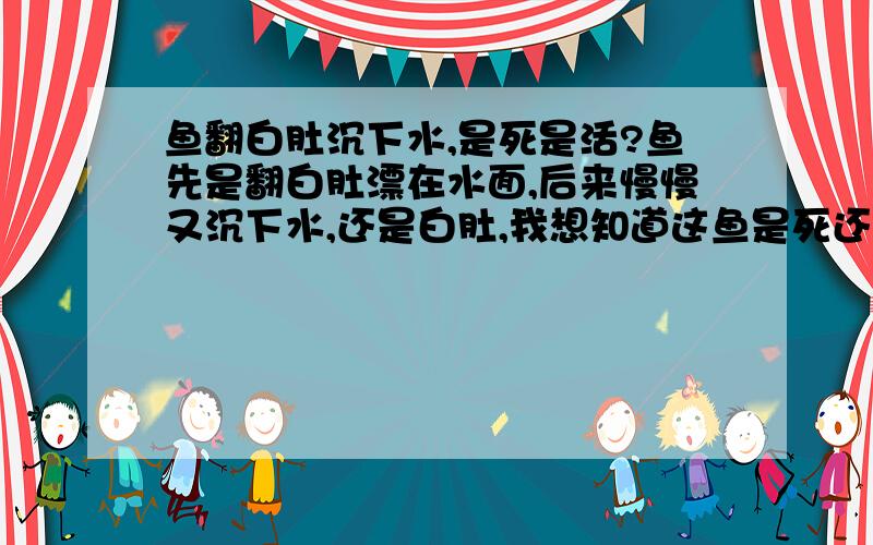 鱼翻白肚沉下水,是死是活?鱼先是翻白肚漂在水面,后来慢慢又沉下水,还是白肚,我想知道这鱼是死还是活?我们这是去放生.