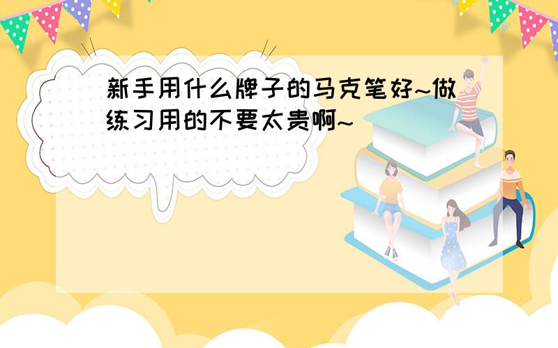 新手用什么牌子的马克笔好~做练习用的不要太贵啊~