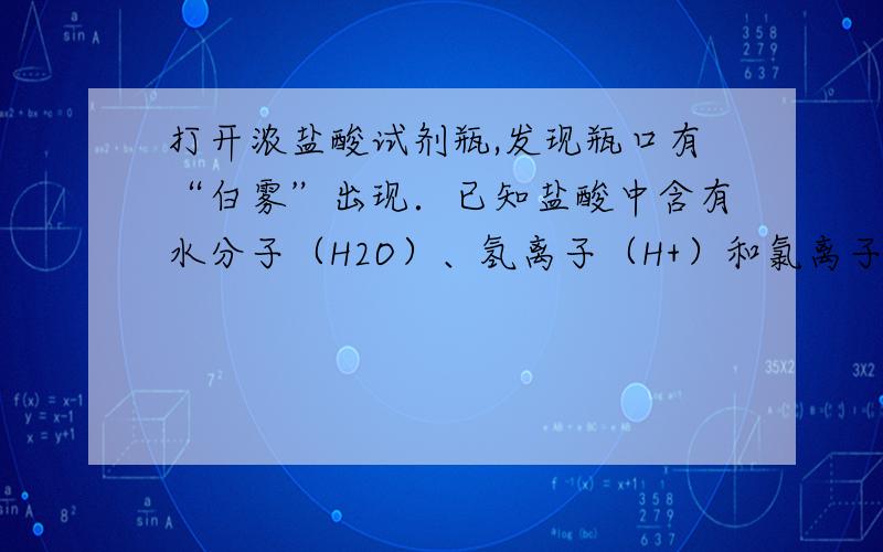 打开浓盐酸试剂瓶,发现瓶口有“白雾”出现．已知盐酸中含有水分子（H2O）、氢离子（H+）和氯离子（Cl-）．下列实验能证明“白雾”中含有氢离子的是【  】 答案是D可是为什么1.3也对呢,