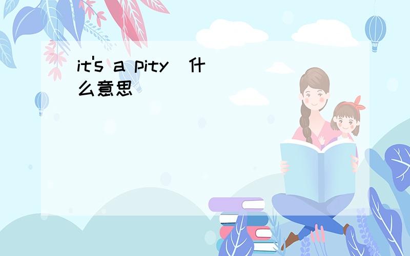 it's a pity  什么意思