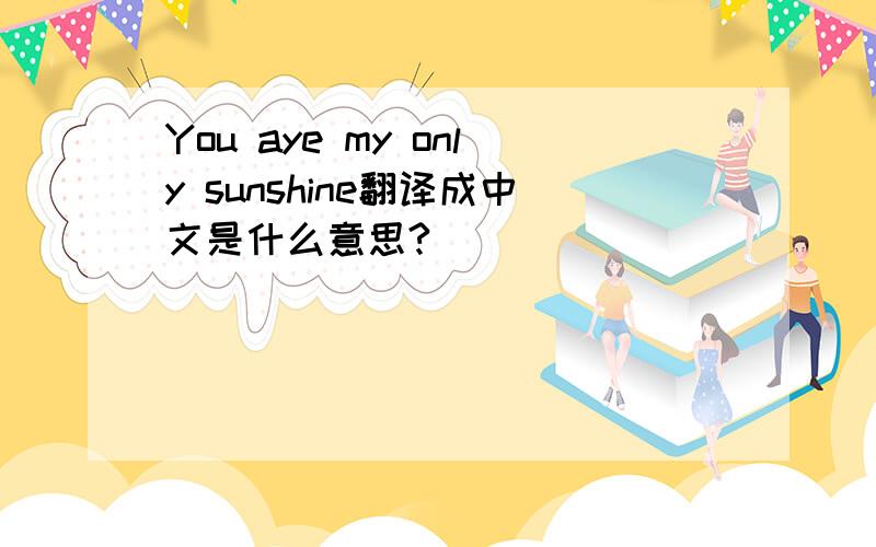 You aye my only sunshine翻译成中文是什么意思?