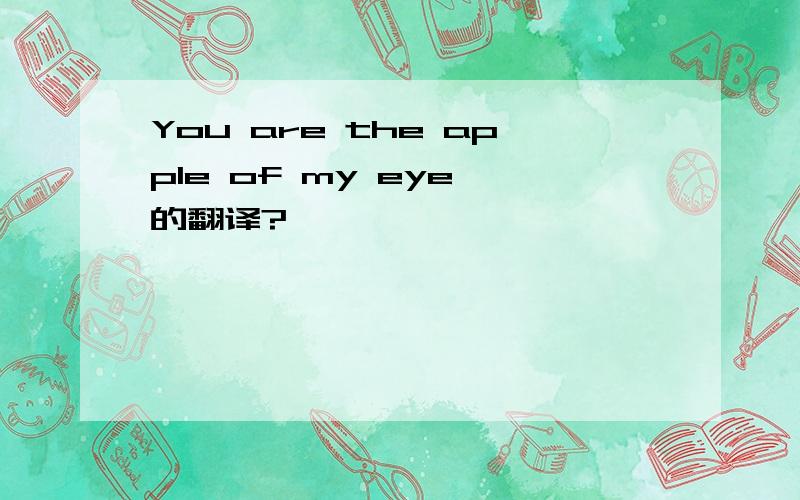 You are the apple of my eye 的翻译?