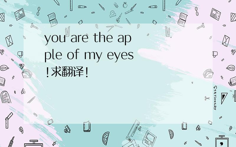 you are the apple of my eyes!求翻译!