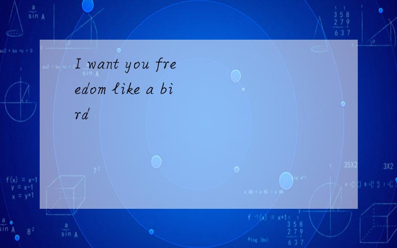 I want you freedom like a bird