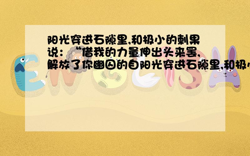 阳光穿进石隙里,和极小的刺果说：“借我的力量伸出头来罢,解放了你幽囚的自阳光穿进石隙里,和极小的刺果说：“借我的力量伸出头来罢,解放了你幽囚的自己!”树干儿穿出来了,坚固的盘