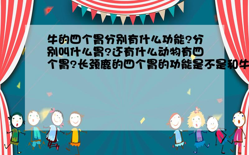 牛的四个胃分别有什么功能?分别叫什么胃?还有什么动物有四个胃?长颈鹿的四个胃的功能是不是和牛的胃的功能一样?