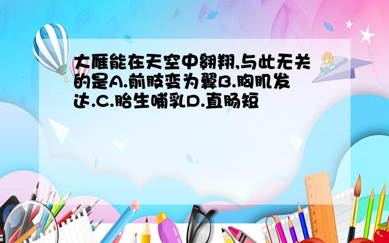 大雁能在天空中翱翔,与此无关的是A.前肢变为翼B.胸肌发达.C.胎生哺乳D.直肠短