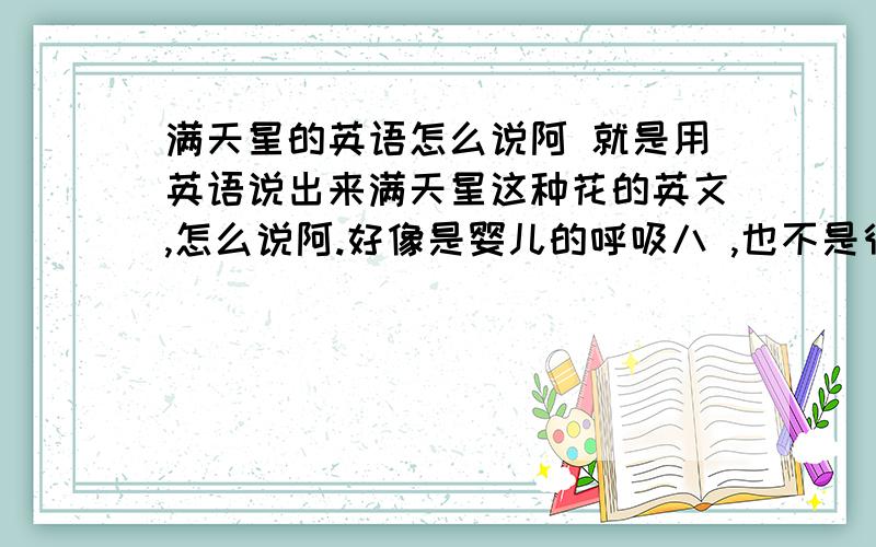 满天星的英语怎么说阿 就是用英语说出来满天星这种花的英文,怎么说阿.好像是婴儿的呼吸八 ,也不是很清楚 .到底怎么说呢