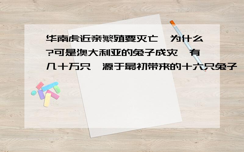 华南虎近亲繁殖要灭亡,为什么?可是澳大利亚的兔子成灾,有几十万只,源于最初带来的十六只兔子,为什么老虎近亲要灭亡,可兔子不会,而且于来越多?