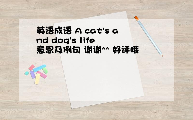 英语成语 A cat's and dog's life 意思及例句 谢谢^^ 好评哦