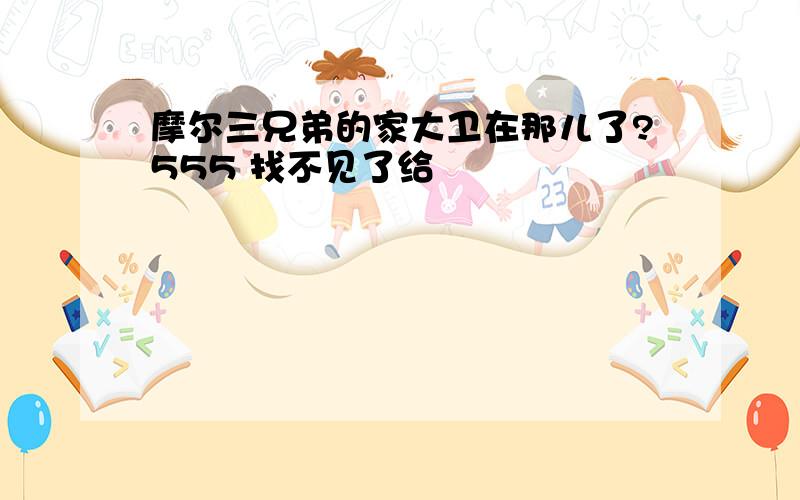 摩尔三兄弟的家大卫在那儿了?555 找不见了给