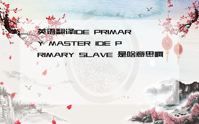 英语翻译IDE PRIMARY MASTER IDE PRIMARY SLAVE 是啥意思啊