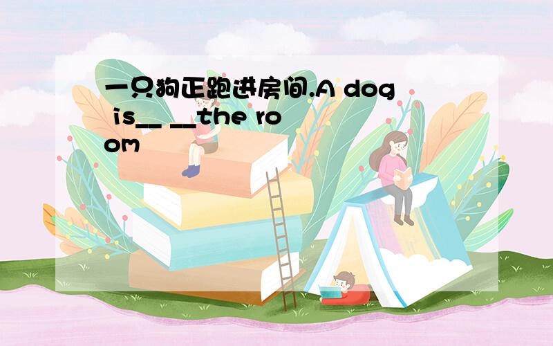 一只狗正跑进房间.A dog is__ __the room