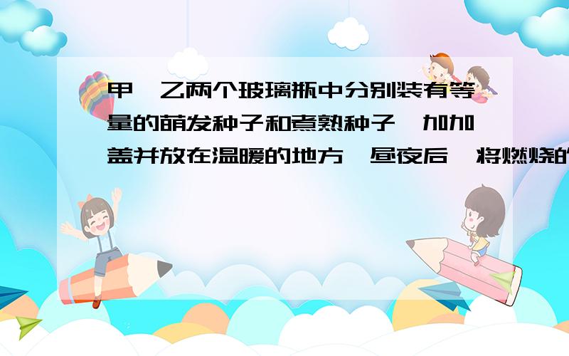 甲、乙两个玻璃瓶中分别装有等量的萌发种子和煮熟种子,加加盖并放在温暖的地方一昼夜后,将燃烧的蜡烛同时放入甲、乙两瓶中,结果甲瓶中的蜡烛立即熄灭,乙瓶中的继续燃烧.此实验现象