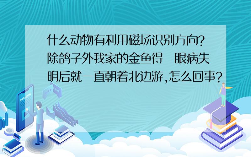 什么动物有利用磁场识别方向?除鸽子外我家的金鱼得曚眼病失明后就一直朝着北边游,怎么回事?