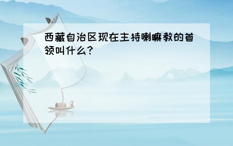 西藏自治区现在主持喇嘛教的首领叫什么?