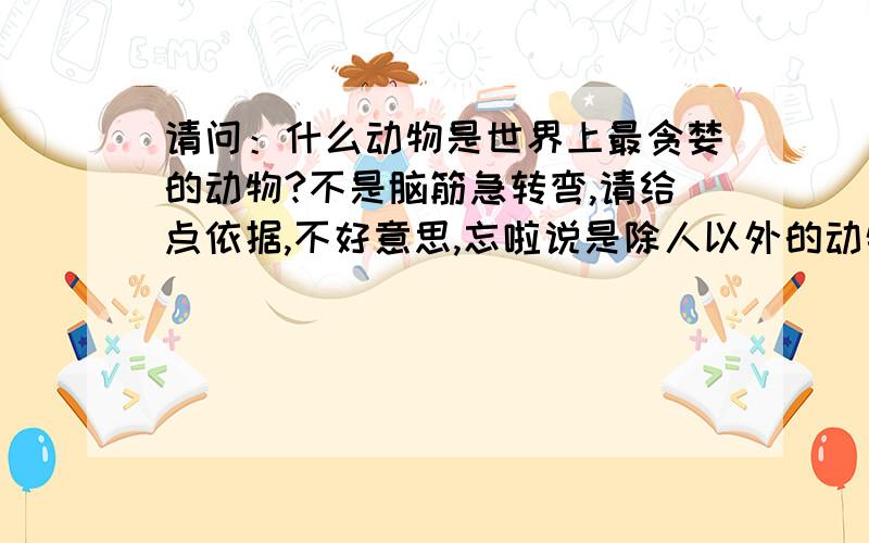 请问：什么动物是世界上最贪婪的动物?不是脑筋急转弯,请给点依据,不好意思,忘啦说是除人以外的动物,请继续会回答.