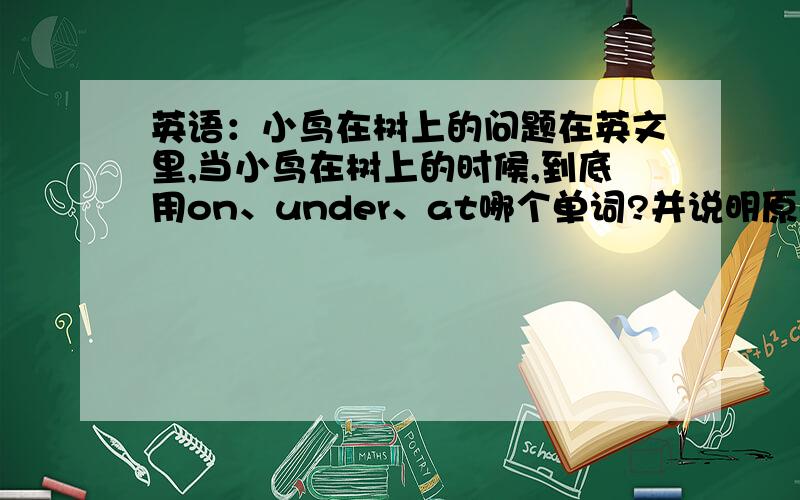 英语：小鸟在树上的问题在英文里,当小鸟在树上的时候,到底用on、under、at哪个单词?并说明原因（白痴级的问题,别打我,本人笨）