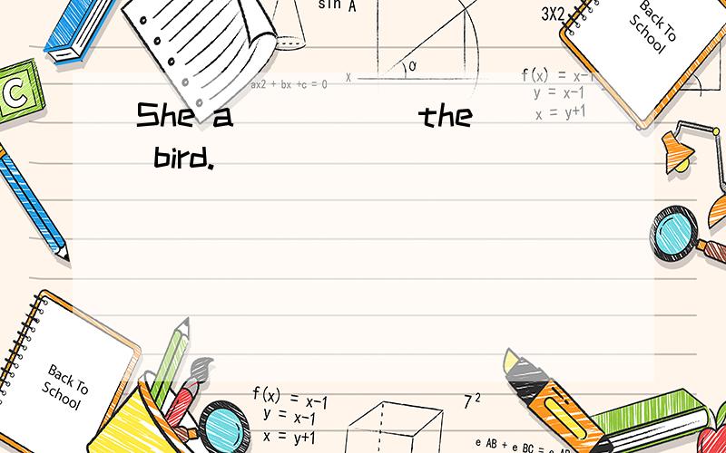 She a_____ the bird.