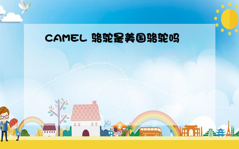 CAMEL 骆驼是美国骆驼吗