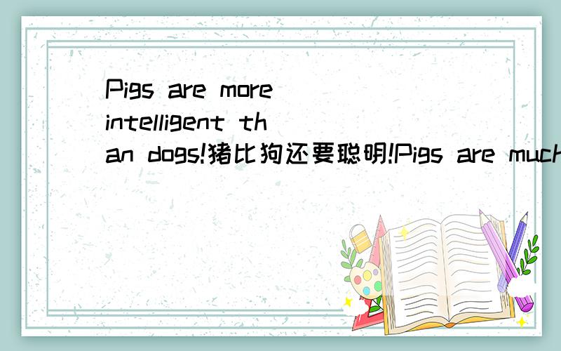 Pigs are more intelligent than dogs!猪比狗还要聪明!Pigs are much more intelligent than what many people give them credit for!Professor Stanley Curtis and Dr.Sarah Boysen of Penn State University in a study found that pigs are much smarter than